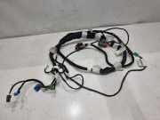 Kabelbaum PEUGEOT 2008 II 1.5 BlueHDI 110 9818809480