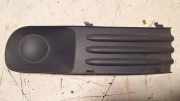 Gitter vorne unten VW TRANSPORTER V (T5) Flatbed 1.9 TDI 7H0807489C