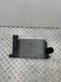 Ladeluftkühler NISSAN QASHQAI II (J11, J11_) 1.2 DIG-T 144614EJ0A
