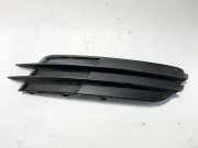 Gitter Grill vorne rechts AUDI A6 Avant (4G5, C7, 4GD) 2.0 TDI 4G0807682