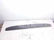 Kofferaum Schlossverkleidung MERCEDES-BENZ SPRINTER 3-t (906) 210 CDI (906.111, 906.113, 906.211, 906.213) A9066860074