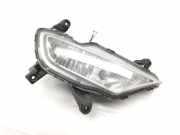 Nebelscheinwerfer links vorne Hyundai i20 (GB)