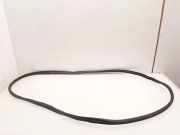 Dichtungsgummi der rechten hinteren Tür RENAULT KOLEOS II 2.0 dCi 175 4WD