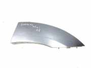 Rear Arch Liner Trim