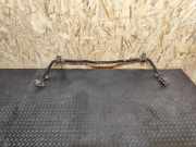 Stabilisator hinten Nissan Murano II (Z51)