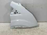 Kotflügel vorne links FORD TRANSIT 2.0 TDCi PBK31-V16005-BK
