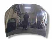 Motorhaube Volvo S80 II (124)