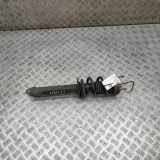 Stoßdämpfer links hinten Porsche 911 (991) 99133305712