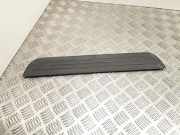 Schwellerinnenverkleidung vorne links