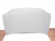 Motorhaube VW CADDY III Furgon (2KA, 2KH, 2CA, 2CH) 1.9 TDI