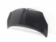 Motorhaube Renault Wind (N) 651006222R