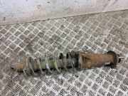 Stoßdämpfer hinten rechts LEXUS IS II (GSE2_, ALE2_, USE2_) 220d (ALE20) 4853053140