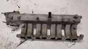 Ansaugbrücke HYUNDAI i20 (PB, PBT) 1.4 CRDi