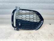 Gitter vorne unten BMW X5 (F15, F85) xDrive 50 i PMT20