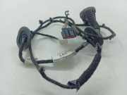 Türverkabelung hinten links FORD B-MAX (JK) 1.6 TDCi AV6T14240