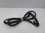 Türgummi rechts hinten Tesla Model S (5YJS)