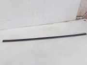 Luke MERCEDES-BENZ S (W220) S 65 AMG (220.179)