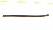 Zierleiste Windschutzscheibe Frontscheibe MERCEDES-BENZ C (W204) C 250 CDI 4-matic (204.082) 2046907862