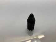 Schraubenfeder hinten links MERCEDES-BENZ CLS (C219) CLS 320 CDI