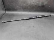 Heckklappe Gasdruckfeder rechts TOYOTA VERSO (_R2_) 2.0 D-4D (AUR20_) 689500F030