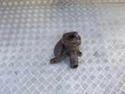 Radnaben vorne links VW TRANSPORTER IV Flatbed (70XD) 2.4 D