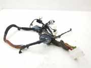 Kabel der vorderen linken Tür KIA CARENS II (FJ) 2.0 CRDi 916001D051