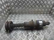 Stoßdämpfer hinten links