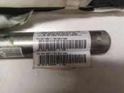 Dach SRS rechts CITROËN C4 Picasso I (UD_) 1.6 HDi 30373228