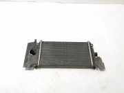 Ladeluftkühler RENAULT ESPACE III (JE0_) 1.9 dTi (JE0M) 7701045349