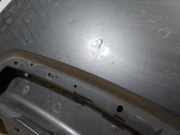 Motorhaube Land Rover Discovery Sport (L550) FK7216854A