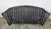 Bodenschutz der Frontstoßstange MERCEDES-BENZ CLS (C218) CLS 350 CDI (218.323)