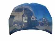 Motorhaube CITROËN C-CROSSER (EP_) 2.2 HDi