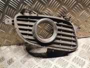 Gitter Grill vorne rechts MERCEDES-BENZ A (W169) A 200 (169.033, 169.333) 1698850822