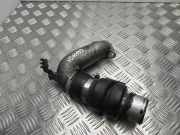 Frischluftgrill NISSAN NP300 NAVARA (D40) 2.5 dCi 4WD