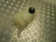 AUSGLEICHSBEHÄLTER KÜHLWASSER RENAULT SCÉNIC III (JZ0/1_) 1.5 dCi 217100005R