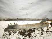 Innenschwellerverkleidung hinten rechts VW CADDY III Furgon (2KA, 2KH, 2CA, 2CH) 1.9 TDI 2K0853370L