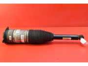 Stoßdämpfer rechts hinten Tesla Model S (5YJS) 600635306C