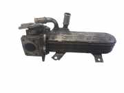 Abgaskühler Seat Toledo III (5P) 038131513AD