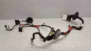 Kabel der vorderen linken Tür HYUNDAI SONATA V (NF) 2.4 916003K130