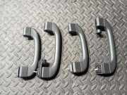 Griff Panoramadach BMW X5 (E70) 6977691