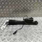 Stoßdämpfer hinten links MERCEDES-BENZ GLE (W167) 450 4-matic (167.159) A1673202301