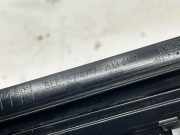 Zierleiste BMW 5er (F10) 7203603