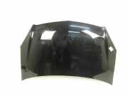 Motorhaube OPEL ZAFIRA B (A05) 2.2