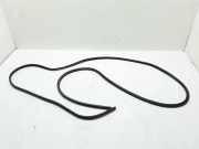 Dichtungsgummi der hinteren Tür (an der Karosserie) RENAULT MASTER III Furgon (FV) 2.3 dCi 110 FWD 8200678121