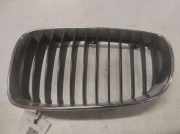 Vorderer oberer Gitter BMW 1 (E87) 120 i 22405910 51137179655