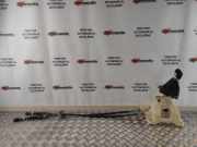 Schalthebel Hyundai iX20 (JC) 437941P400