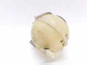 Ausgleichsbehälter SKODA FABIA II (542) 1.2 6Q0121407B