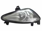 Nebelscheinwerfer vorne rechts MERCEDES-BENZ S (W221) S 320 CDI 4-matic (221.080, 221.180) LE04B137