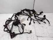 Motor Kabelbaum KIA CARENS II (FJ) 2.0 CRDi