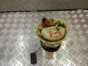 Kraftstoffpumpe BMW 3er Touring (E91) A2C53024940